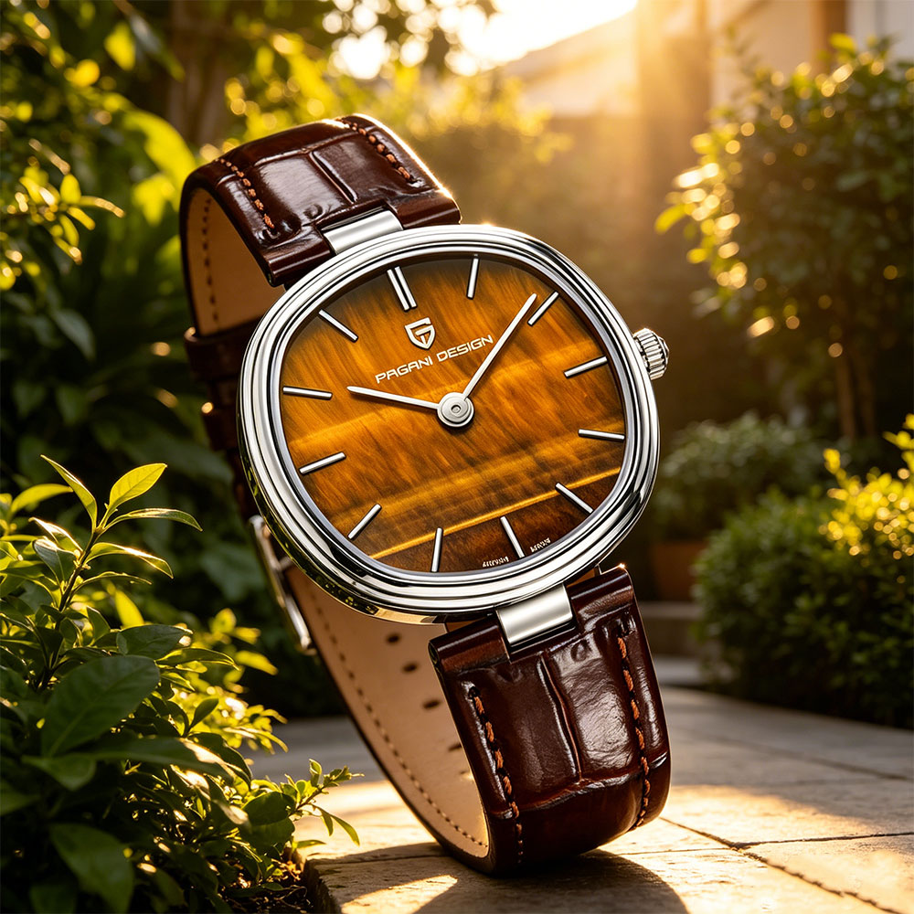 PAGANI DESIGN 2026 New Quartz  - đánh giá và giá Anti-Magnetic Watch