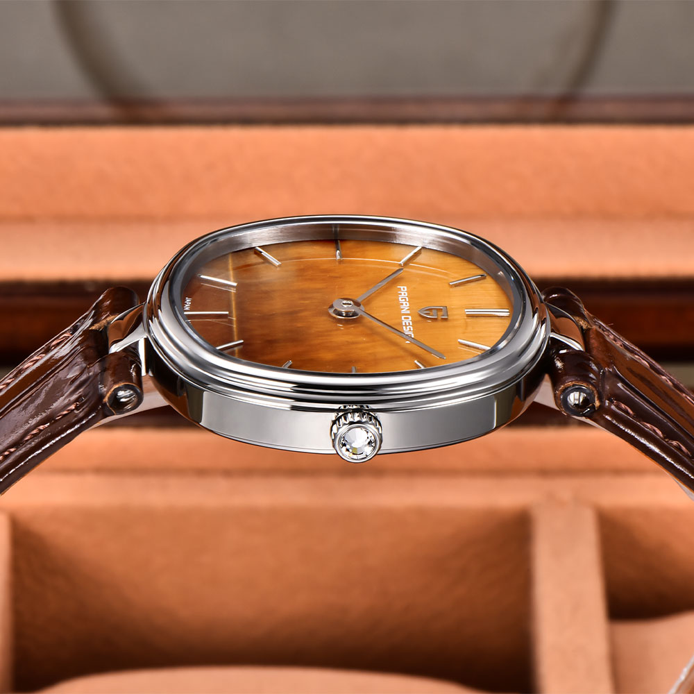 PAGANI DESIGN 2026 New Quartz  - đánh giá và giá Anti-Magnetic Watch