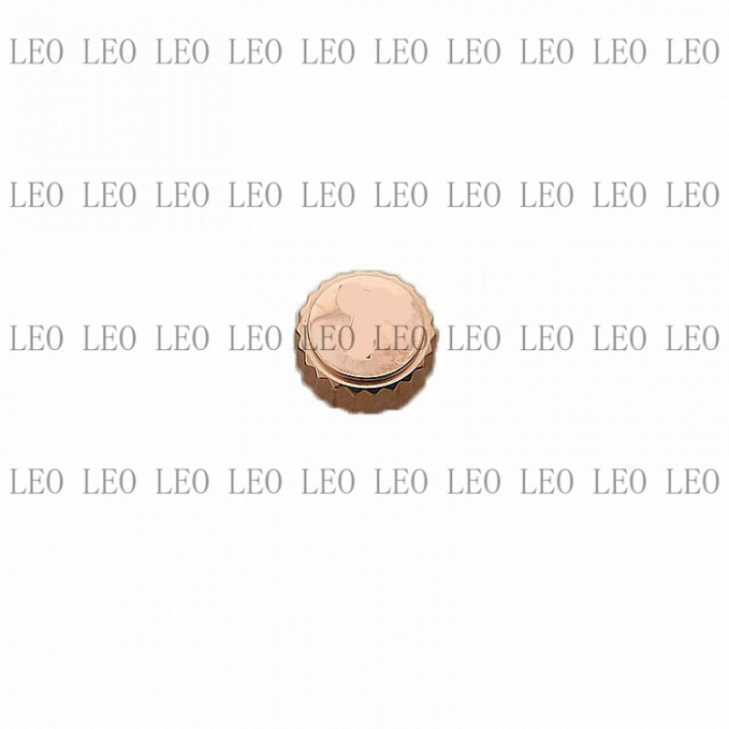 DD  Watch Part Crown Watch Tub - đánh giá và giá Watch Crown Stem
