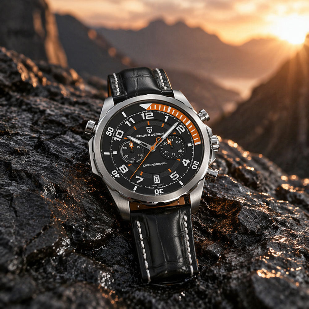 PAGANI DESIGN Classic Leather  - đánh giá và giá Anti-Magnetic Watch